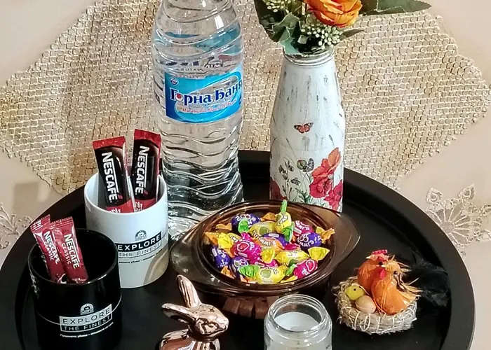 Emiliya Guest house *